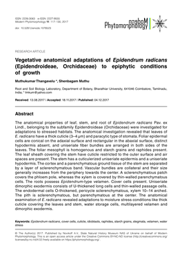 Vegetative Anatomical Adaptations of Epidendrum Radicans (Epidendroideae, Orchidaceae) to Epiphytic Conditions of Growth