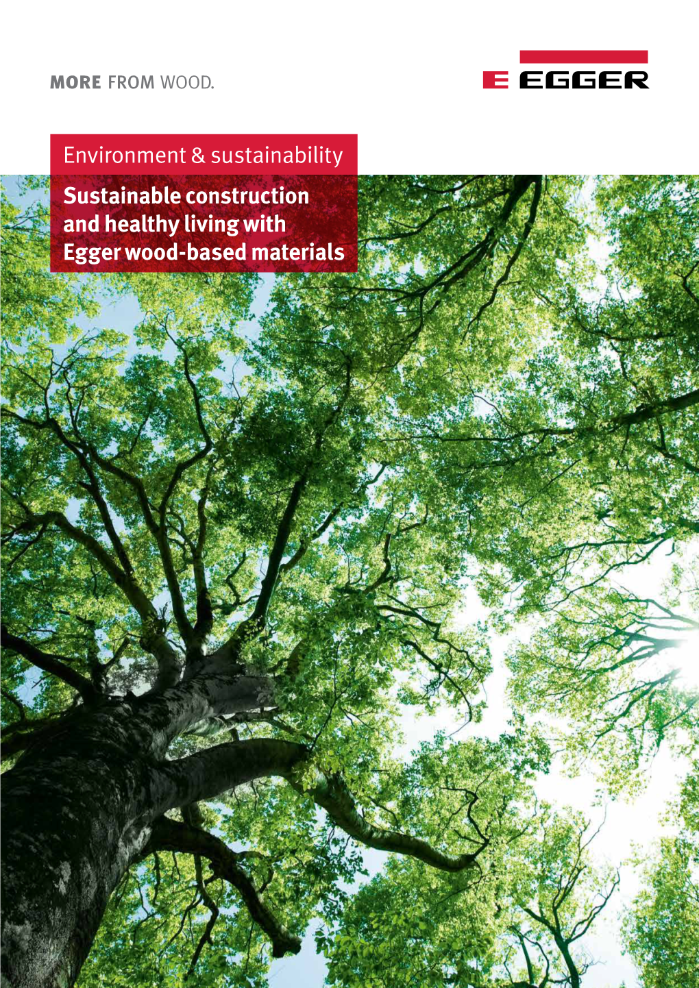 Environment and Sustainability (PDF)