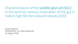 Characterization of the Satellite Glial Cell (SGC) in the Extrinsic Sensory Innervation of the Gut in Rodent High-Fat Diet-Induced Obesity (DIO)