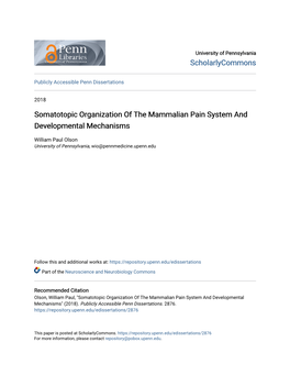 Somatotopic Organization of the Mammalian Pain System and Developmental Mechanisms