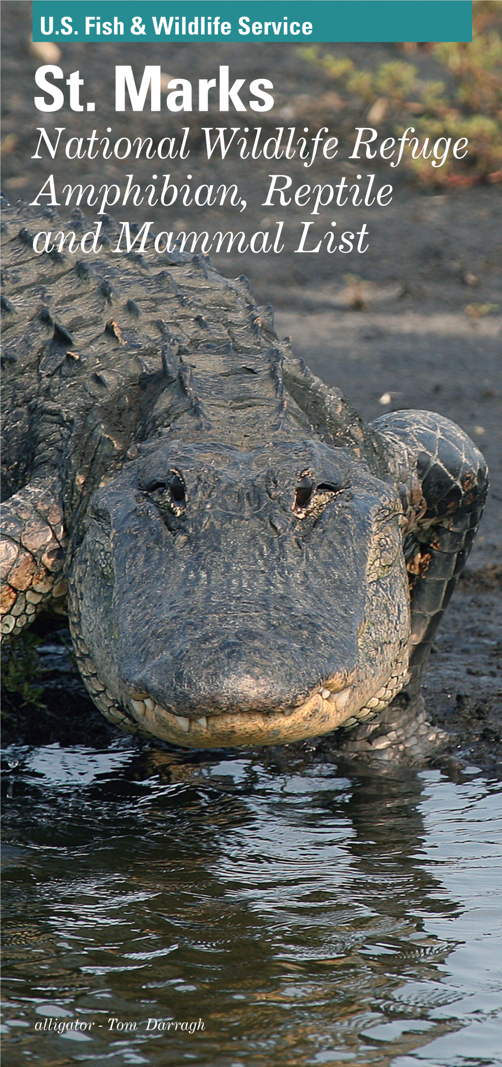 St. Marks National Wildlife Refuge Amphibian, Reptile and Mammal List