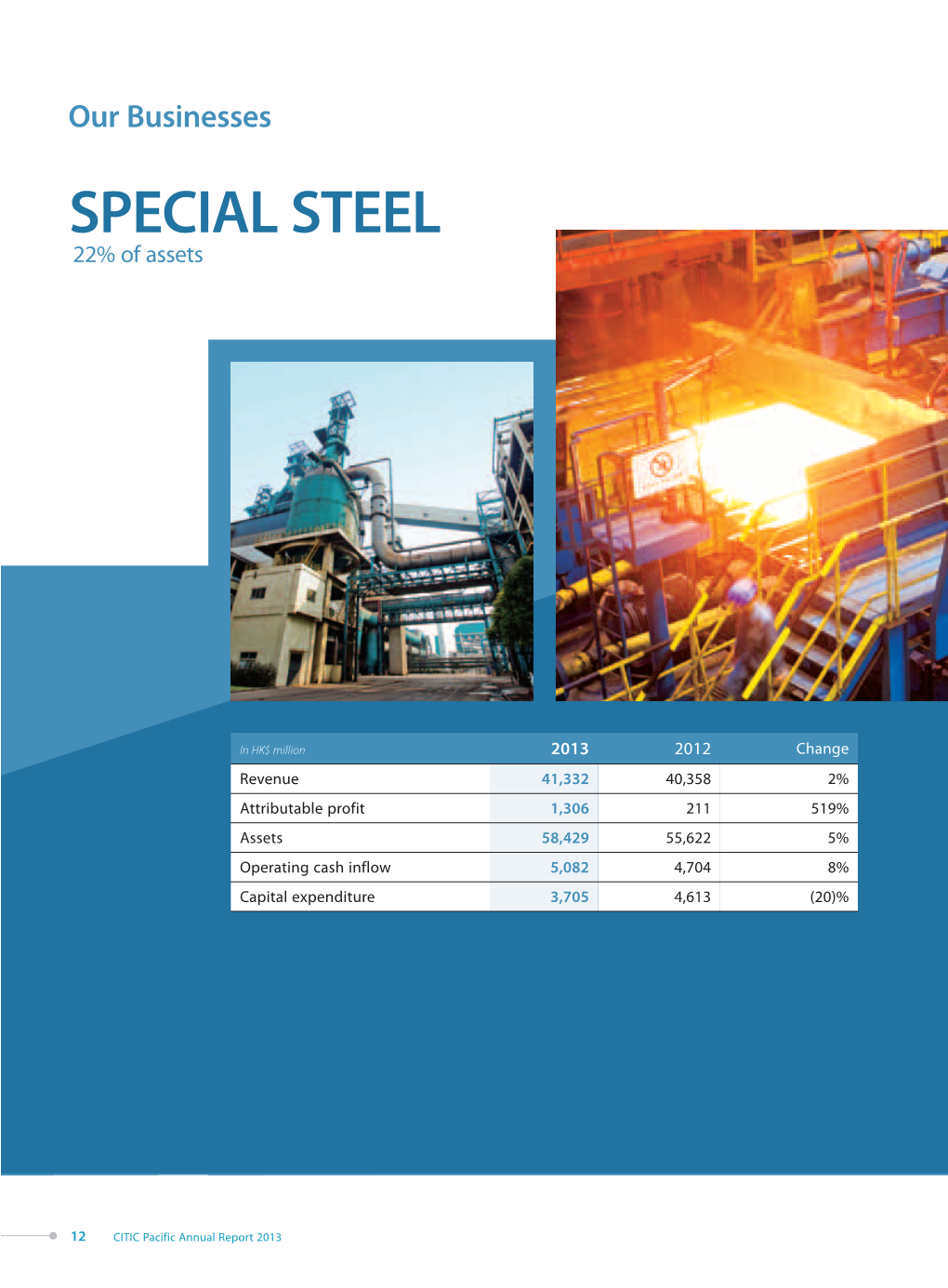 SPECIAL STEEL 22% of Assets