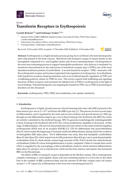 Transferrin Receptors in Erythropoiesis