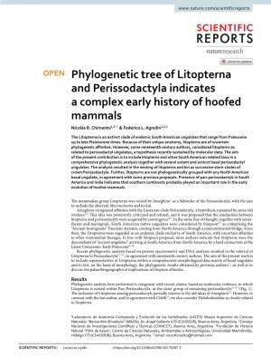 Phylogenetic Tree of Litopterna and Perissodactyla Indicates a Complex Early History of Hoofed Mammals Nicolás R