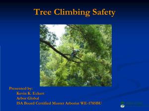 Tree Climbing Safety