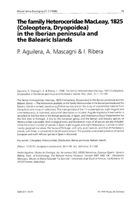 The Family Heteroceridae Macleay, 1825 (Coleoptera, Dryopoidea) in the Lberian Peninsula and the Balearic Lslands