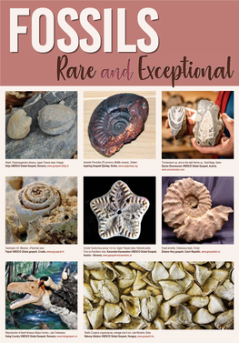 Fossils Rare and Exceptional