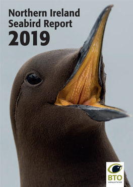 Northern Ireland Seabird Report, Covering 2019