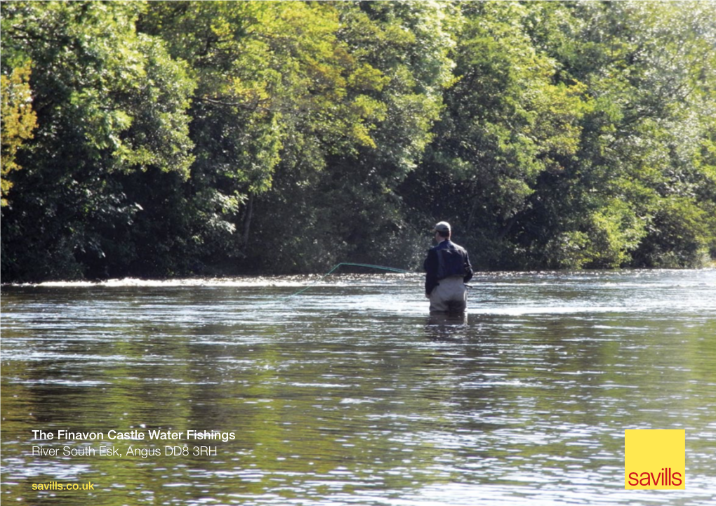 The Finavon Castle Water Fishings River South Esk, Angus DD8 3RH Savills.Co.Uk Craigo Stream Foot Bridge Red Brae