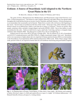 Echium: a Source of Stearidonic Acid Adapted to the Northern Great Plains in the US M