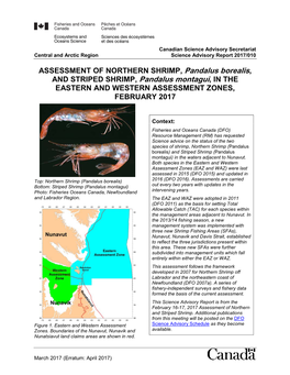 Assessment of Northern Shrimp (Pandalus Borealis) and Striped Shrimp (Pandalus Montagui) in Western and Eastern Assessment Zones (SFA 2 and 3)