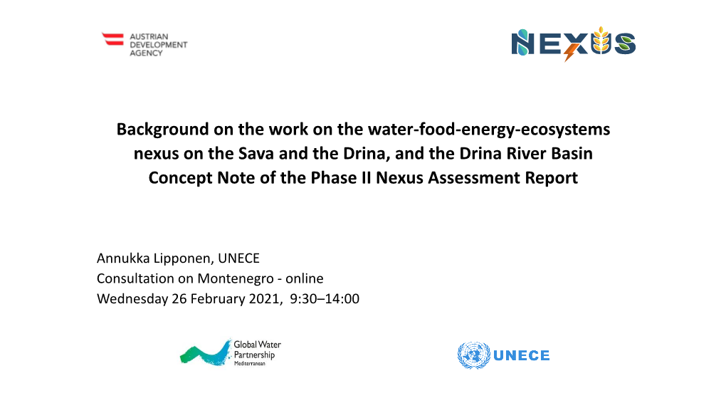 UNECE-Nexus on the Sava and the Drina River Basin