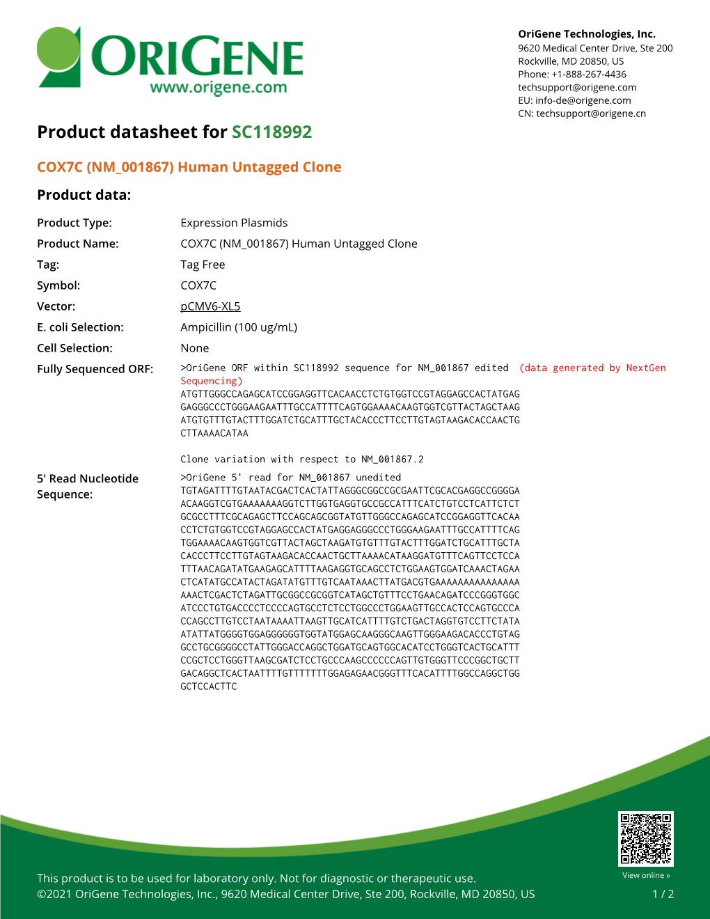 COX7C (NM 001867) Human Untagged Clone Product Data