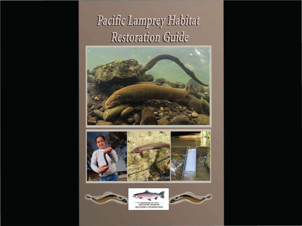 Pacific Lamprey Habitat Restoration Guide Took a Watershed-Wide Effort
