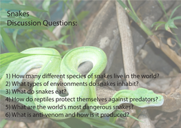 Snakes Discussion Questions
