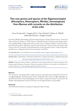 Hemiptera, Heteroptera, Miridae, Isometopinae) from Borneo with Remarks on the Distribution of the Tribe