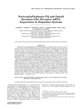 Nociceptin/Orphanin FQ and Opioid Receptor-Like Receptor Mrna