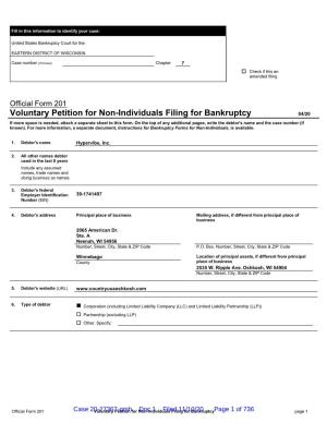 1 Voluntary Petition for Non-Individuals Filing for Bankruptcy 04/20 If More Space Is Needed, Attach a Separate Sheet to This Form