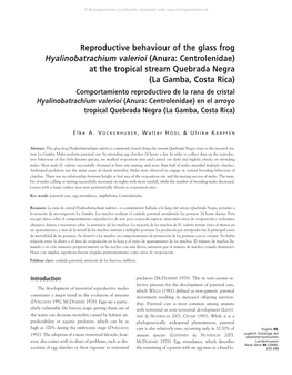 Reproductive Behaviour of the Glass Frog Hyalinobatrachium Valerioi