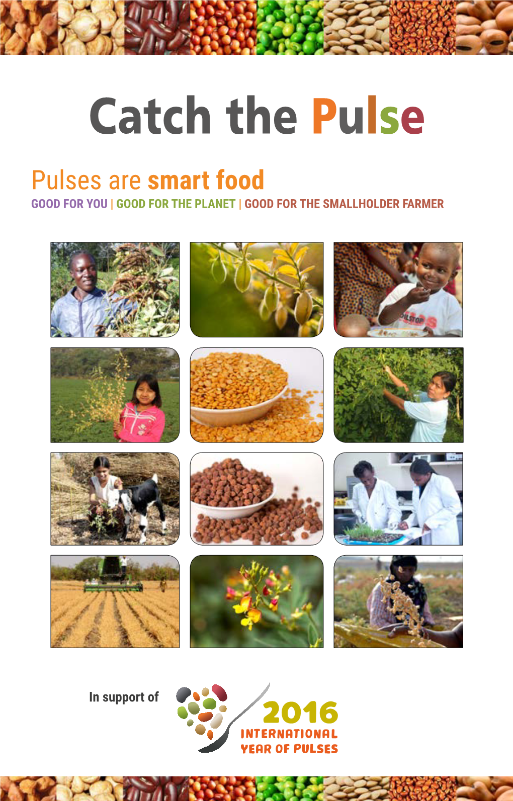 Catch the Pulse Pulses Are Smart Food GOOD for YOU | GOOD for the PLANET | GOOD for the SMALLHOLDER FARMER