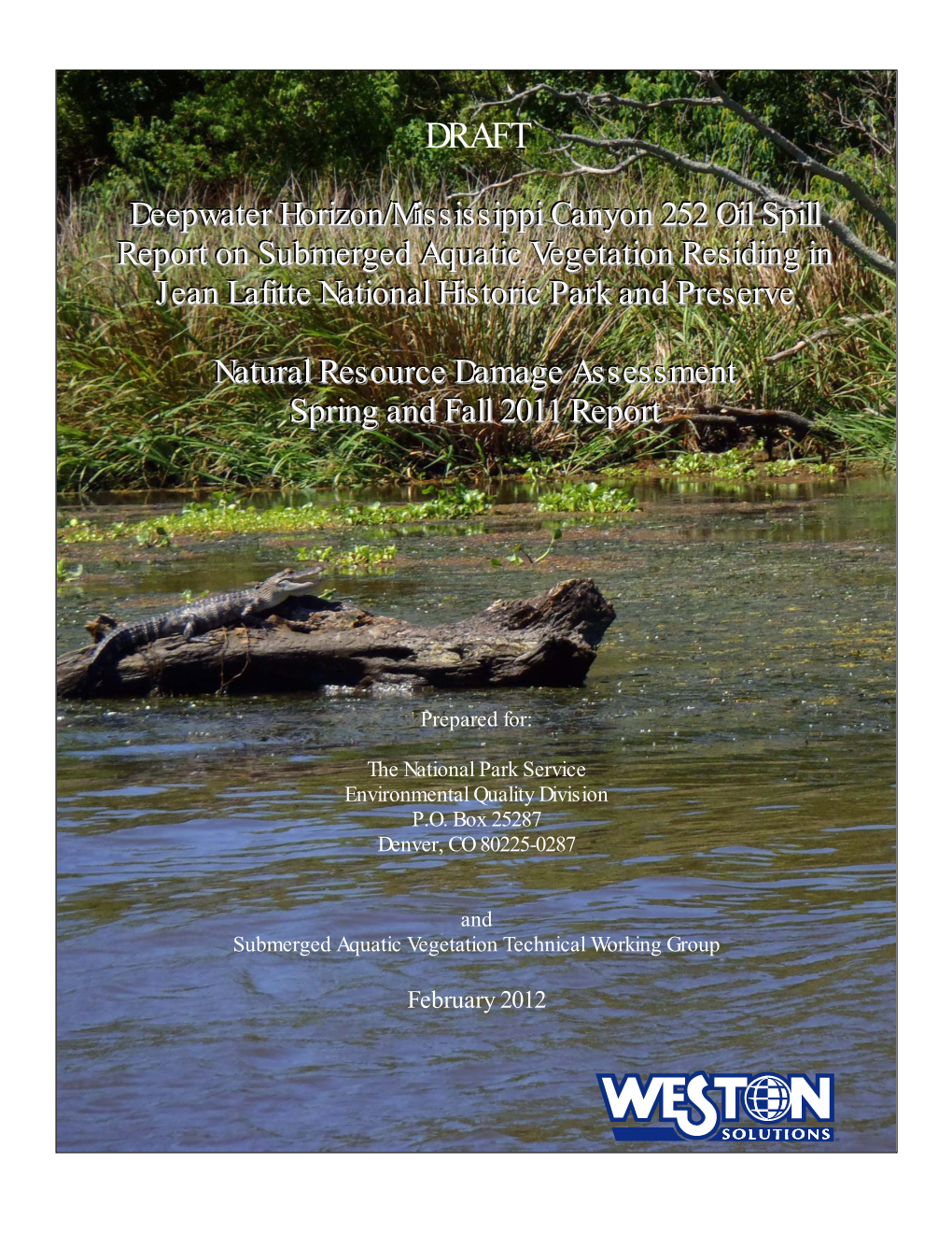 Deepwater Horizon/Mississippi Canyon 252 Oil Spill Report on Submerged Aquatic Vegetation Residing in Jean Lafitte National Historic Park and Preserve