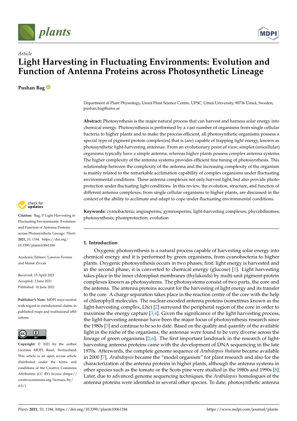 Light Harvesting in Fluctuating Environments: Evolution and Function of Antenna Proteins Across Photosynthetic Lineage