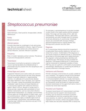 Streptococcus Pneumoniae Technical Sheet