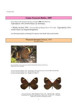 083 Genus Torynesis Butler