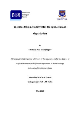 Laccases from Actinomycetes for Lignocellulose Degradation