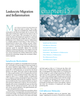 Chapter 15 and Inflammation