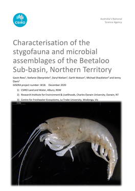 Characterisation of the Stygofauna and Microbial