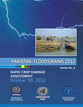 PAKISTAN: FLOODS/RAINS 2012 Series No. 4 RAPID