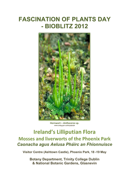 Lilliputian World of Mosses Liverworts