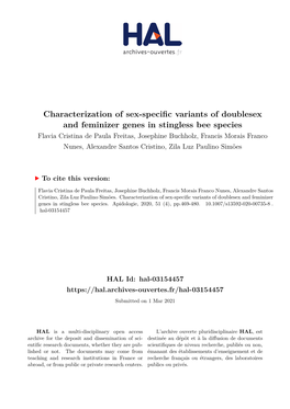 Characterization of Sex-Specific Variants of Doublesex and Feminizer Genes in Stingless Bee Species