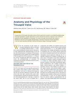 Anatomy and Physiology of the Tricuspid Valve