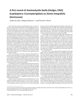 A First Record of Anatrachyntis Badia (Hodges 1962) (Lepidoptera: Cosmopterigidae) on Zamia Integrifolia (Zamiaceae)