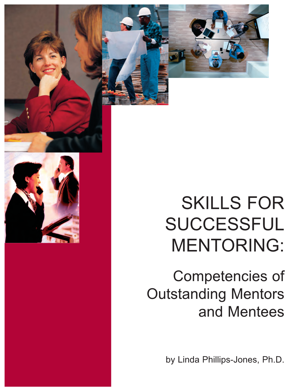 Skills for Successful Mentoring (PDF)