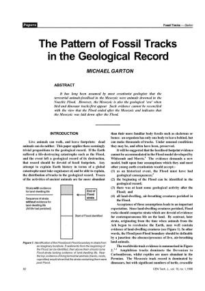 The Pattern of Fossil Tracks in the Geological Record