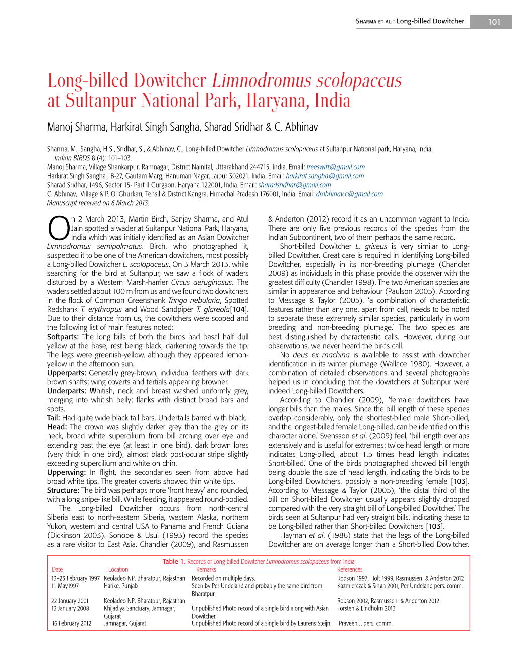 Long-Billed Dowitcher Limnodromus Scolopaceus at Sultanpur National Park, Haryana, India Manoj Sharma, Harkirat Singh Sangha, Sharad Sridhar & C