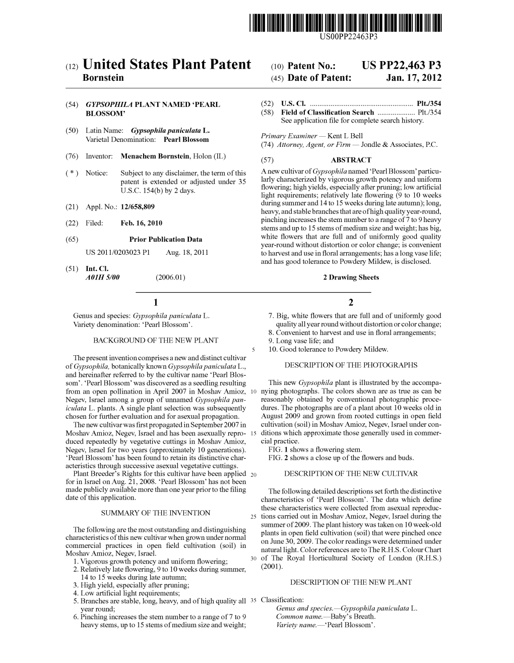 (12) United States Plant Patent (10) Patent No.: US PP22.463 P3 Bornstein (45) Date of Patent: Jan