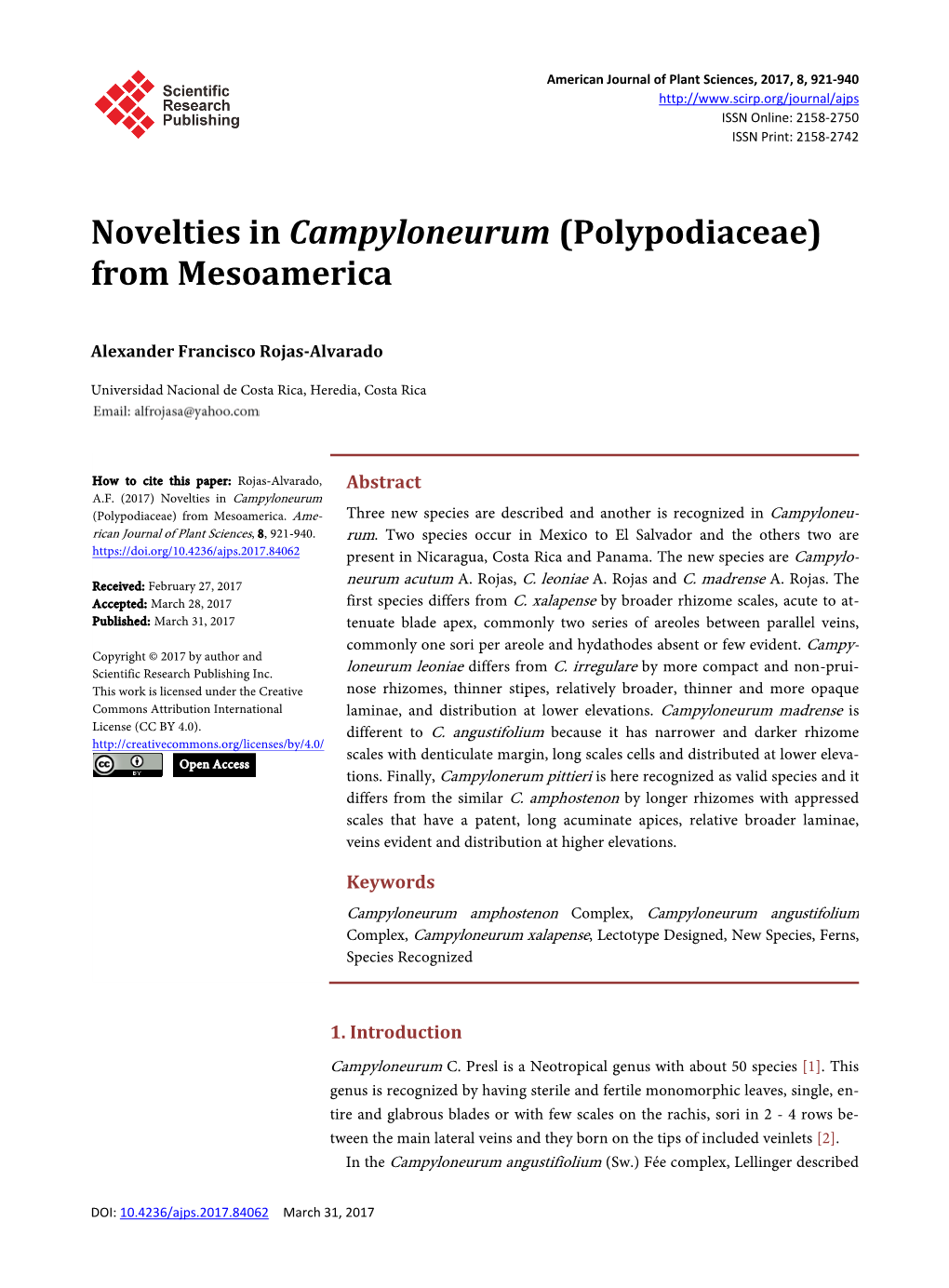 Novelties in Campyloneurum (Polypodiaceae) from Mesoamerica