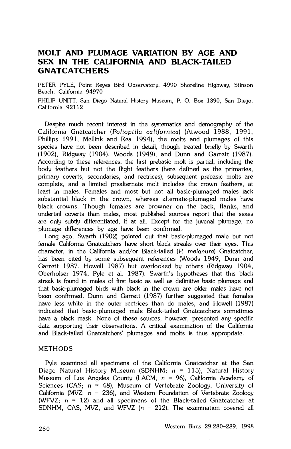 Molt and Plumage Variation by Age and Sex in the California and Black-Tailed Gnatcatchers