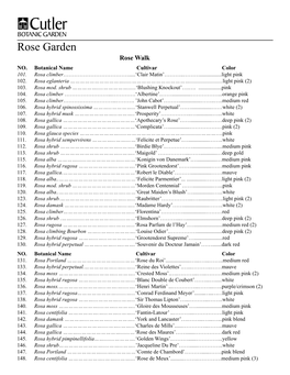Rose Garden Rose Walk NO