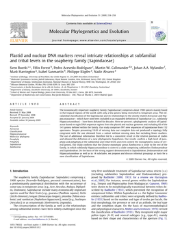 Plastid and Nuclear DNA Markers Reveal Intricate Relationships at Subfamilial and Tribal Levels in the Soapberry Family (Sapindaceae)