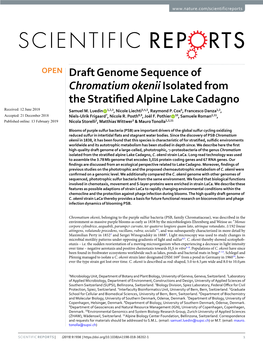 Draft Genome Sequence of Chromatium Okenii Isolated from the Stratifed Alpine Lake Cadagno Received: 12 June 2018 Samuel M