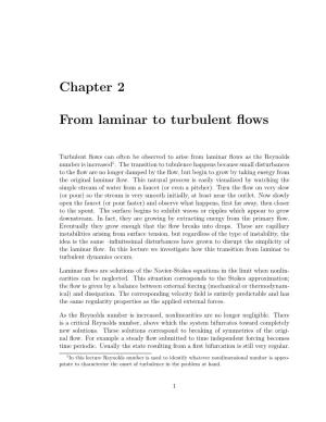 Chapter 2 from Laminar to Turbulent Flows