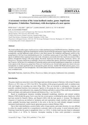 A Taxonomic Revision of the Asian Keelback Snakes, Genus Amphiesma (Serpentes: Colubridae: Natricinae), with Description of a New Species