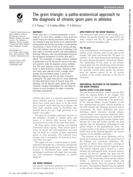 The Groin Triangle: a Patho-Anatomical Approach to the Diagnosis of Chronic Groin Pain in Athletes E C Falvey,1,2 a Franklyn-Miller,2 P R Mccrory1