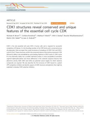 CDK1 Structures Reveal Conserved and Unique Features of the Essential Cell Cycle CDK