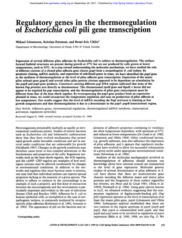 Regulatory Genes in the Thermoregulation of Escherichia Coli Pili Gene Transcription